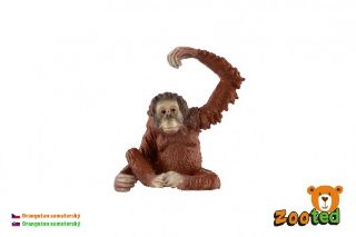 Obrázek z Orangutan sumaterský zooted plast 8cm v sáčku 